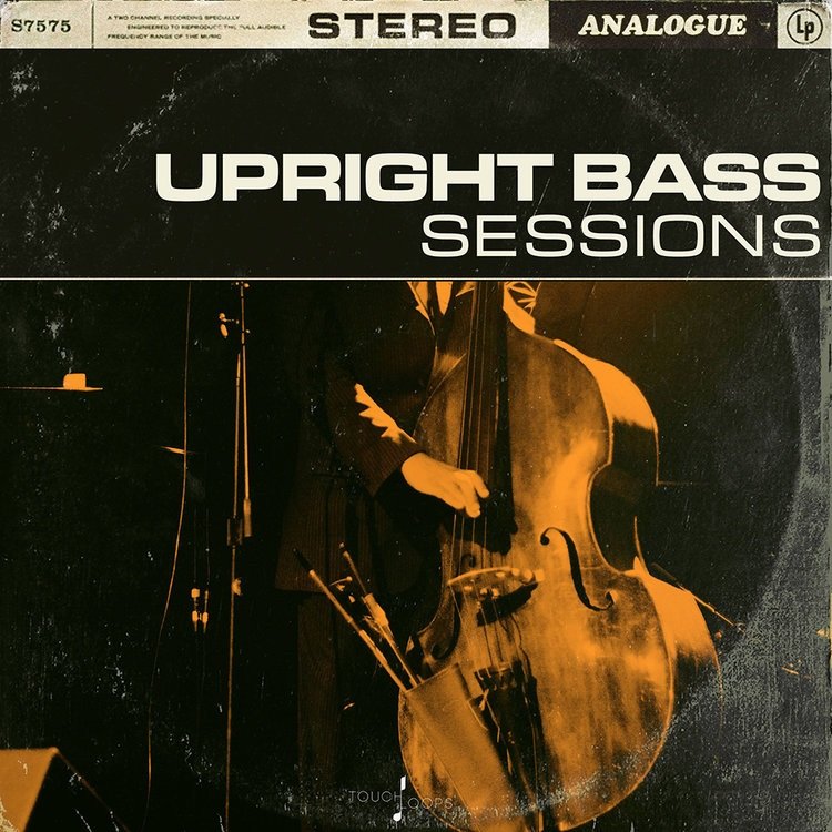 Touch Loops Upright Bass Sessions