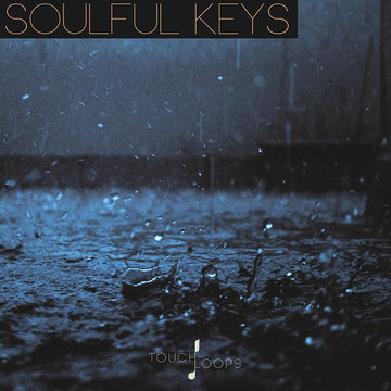 Touch Loops Soulful Keys
